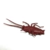 safari chính hãng mô phỏng mô hình động vật đồ chơi đồ trang trí nhận thức của trẻ em mô hình côn trùng gián - Đồ chơi gia đình