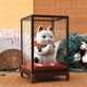 7290 Cat+Compact Acke Covere будут выпущены на следующий день