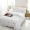 Công chúa phiên bản Hàn Quốc của bốn bộ chăn thêu bông thêu chăn màu đỏ lưới loại giường trắng cotton 1,5m - Bộ đồ giường bốn mảnh chan ga goi