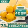 Товары от 胡琪262280092