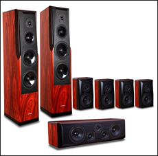 Домашний кинотеатр winner/天逸 家庭影院套装 音响 童笛8号