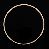 23 -сантиметровое внутреннее кольцо (осторожно стреляйте с отдельным кругом DIY)