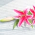 Mô phỏng hoa lily phòng khách trang trí phòng ngủ nhà hàng trang trí hoa giả nụ hoa mới trang trí nhà hoa - Hoa nhân tạo / Cây / Trái cây cây giả trang trí phòng khách Hoa nhân tạo / Cây / Trái cây