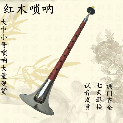 Музыкальные инструменты для детей и взрослых для начинающих, маленький медный мегафон для школьников, полный комплект