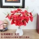2 куча Тайваня Phalaenopsis Big Red+Цветочная корзина