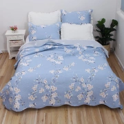 Twill bông đơn Hàn Quốc giặt bông chặt chẽ quilting điều hòa không khí mùa hè mát mẻ chăn ga trải giường ba mảnh bìa - Trải giường