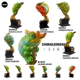 [Bang] Spot Museum Fresh Dragon Story Story Pets Pets Petts Model Model Gist