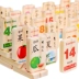100 ký tự Trung Quốc Domino bé biết chữ giáo dục sớm khối gỗ giáo dục cho trẻ em đồ chơi 2-3-4 tuổi