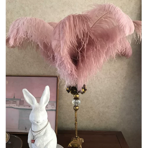 Светло -розовая свадьба страуса с острами, роуд KTV Photo Reps украшения интернет -знаменитость In ins Big Feather