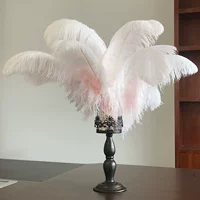 Вишневый порошок