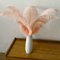 Румяна, 45-50см