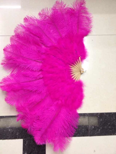 Выступление танца танца негабаритные фанаты -фанаты страуса страуса с большим фанатом Custom Multi -Color.