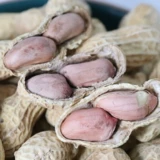 Арахис пули, маринованный чеснок, вкус арахиса с раковинами, много со вкусом 5 кот, 10 кот, 20 фунтов орехов, приготовление пищи и повседневные закуски