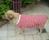 Весенняя летняя джинсовая майка топ, большой размер