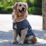 Весенняя летняя джинсовая майка топ, большой размер