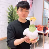 Брендовая кукла, плюшевая игрушка, милый шейный платок для сна, популярно в интернете, утка