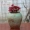 Bình gốm thô nhỏ đống cũ pháp sư hoa thịt nồi retro bình hoa gốm đất nung gốm đen sắp xếp hoa - Vase / Bồn hoa & Kệ