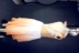 Suzaku Zhu Xi trình diễn trang phục biểu diễn múa ba lê lông vũ trẻ em trên không gian thứ 3 trang phục múa Hồng - Khiêu vũ / Thể dục nhịp điệu / Thể dục dụng cụ