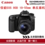 Máy ảnh DSLR kỹ thuật số HD Canon Canon EOS 80D18-55 - SLR kỹ thuật số chuyên nghiệp máy chụp hình mini