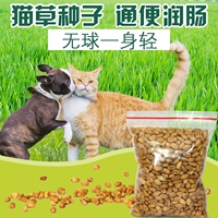 Кошка кошачья трава кошки и собаки вырождаются и плевать волосы, гидропонная пшеница для волос.