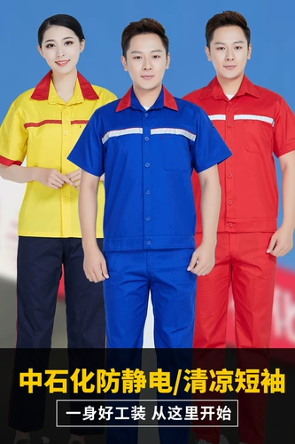 Заправочная одежда Лето и половина -Статическая униформа в летнем костюме