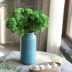 Bình gốm xi măng đồ trang trí nhà phòng khách văn hóa nước cắm hoa cây xanh cũ cọc thịt hoa chậu hoa mô phỏng - Vase / Bồn hoa & Kệ