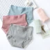 50S đồ lót nữ cotton màu rắn liền mạch ren ren tóm tắt kích thước lớn eo bikini đẹp Giống cái