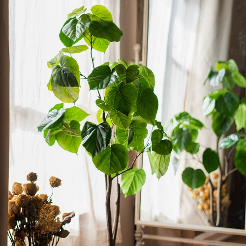 景 Моделирование Bonsai Зеленое растение Большое, среднее, маленькое и маленькое внутреннее декоративное орнамент клуб гостиной приземляется поддельные зеленые растения
