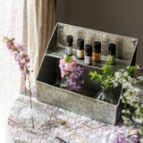 Hanyu Iron Storage Box Box Wanging Basketball Double Creative Creative Desktop Wall Retro Перегрев корзину для хранения