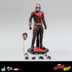 Phim HOTTOYS HT 1 6 Ant Man 2 xuất hiện nữ chính Man Wei Fulian 4 xung quanh mô hình đồ chơi - Capsule Đồ chơi / Búp bê / BJD / Đồ chơi binh sĩ mô hình anime nữ Capsule Đồ chơi / Búp bê / BJD / Đồ chơi binh sĩ