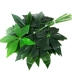 Mô phỏng vận may lá giả cây xanh cây hoa vườn phòng khách nhựa trang trí nội thất giả tre mô phỏng cây - Hoa nhân tạo / Cây / Trái cây