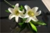 Trang chủ phụ kiện 2 nước hoa lily nhân tạo hoa trang trí phòng khách hoa giả hoa hoa Phòng ngủ trưng bày hoa đơn - Hoa nhân tạo / Cây / Trái cây hoa giả để phòng khách Hoa nhân tạo / Cây / Trái cây