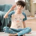 Boy con bộ đồ ngủ bé trai mùa hè ngắn tay quần cotton phần mỏng lớn Tong Chunqiu bông tracksuit phù hợp đồ bơi bé trai Phù hợp với trẻ em