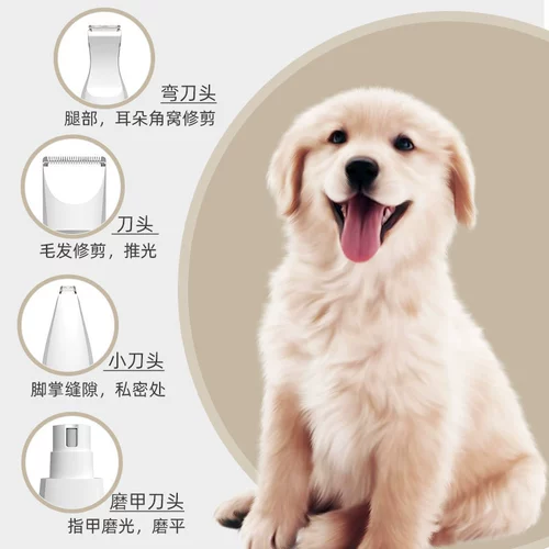 Четырех -летний старый магазин Три цвета домашних животных для домашних животных, собачья шерстяная собака, толкающая шерсть, кошачьи ноги.