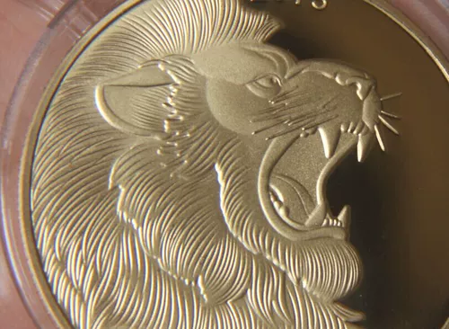 Memorial Gold 2015 Половина BTC Диаметр около 40 мм Чжунконг Компьютерный ученый OK