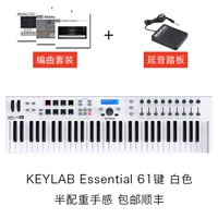 61 ключ белый+педаль+набор расположения