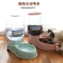 Chó tự động chuông trung chuyển trung chuyển mèo thức ăn cho chó bát nước uống nước treo mèo vật nuôi cần thiết hàng ngày - Cat / Dog hàng ngày Neccessities 	bát ăn đôi cho mèo	