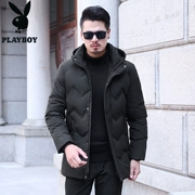 Playboy Winter Người đàn ông trung niên xuống Cotton Padded Padded Dad Cotton Jacket