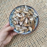 Наполовину наполовину малые рыбы сухие товары специальные продукты домашние