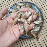 Наполовину наполовину малые рыбы сухие товары специальные продукты домашние