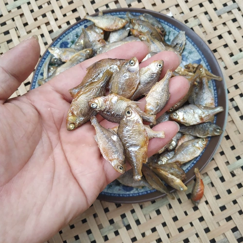Наполовину наполовину малые рыбы сухие товары специальные продукты домашние