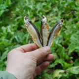 Hunan Special Products Tamsui Diaozi Fish Fish Fish Маленькая река фермеры Фермеры сухие товары объемные небольшие соленые рыбы сухой 250 грамм