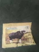 Tem nước ngoài malaysia tem động vật gia súc tem kỷ niệm bộ sưu tập trung thực thư bán hàng