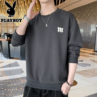 We23202 Grey Регулярная модель