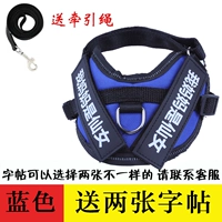 Синяя тетрадь с поводком