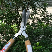 Японская золотая лошадь импортированная трава ножницы и ветви режут цветы ветви, газонные садоводство, деревянная ручка, изгороди, обрезка