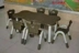 Trẻ em lượn sóng 6 người mẫu giáo bàn vuông bàn nhựa Bàn mẫu giáo nâng bàn nhựa sang trọng bàn ghế sang trọng - Phòng trẻ em / Bàn ghế