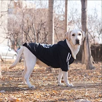 Толстовка черного насильственного медведя