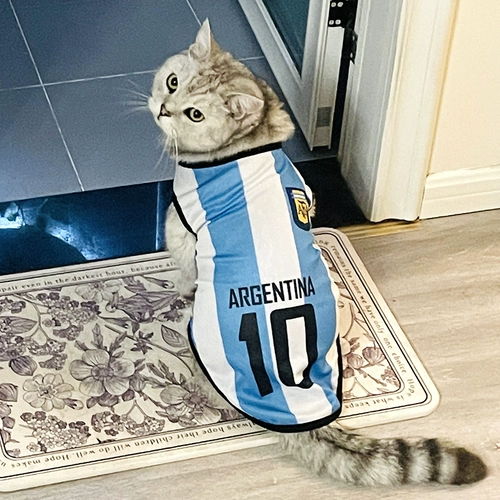 Кошачья одежда летняя чемпионат мира