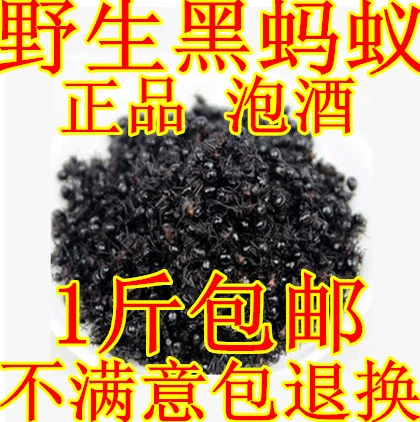 Китайский лекарственный материал Северо -восток черные муравьи сухие большие муравья Специальные горы Горные муравьи 500 граммов бесплатной доставки